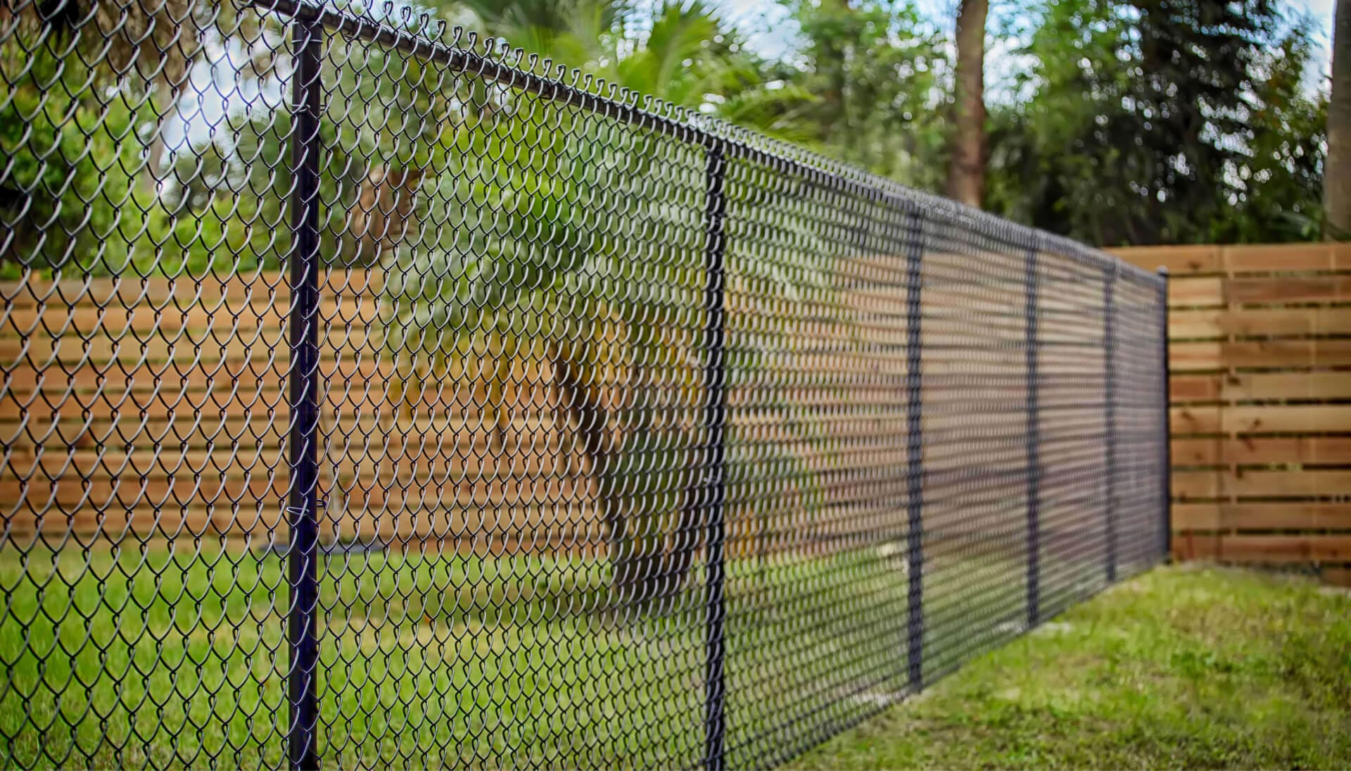 chain link fence installation services in Port Saint